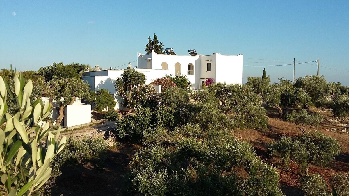Cisternino Apartment | 4 person, 1st floor appt. Shared, wonderful 9 m. terrace, pool and tennis crt.