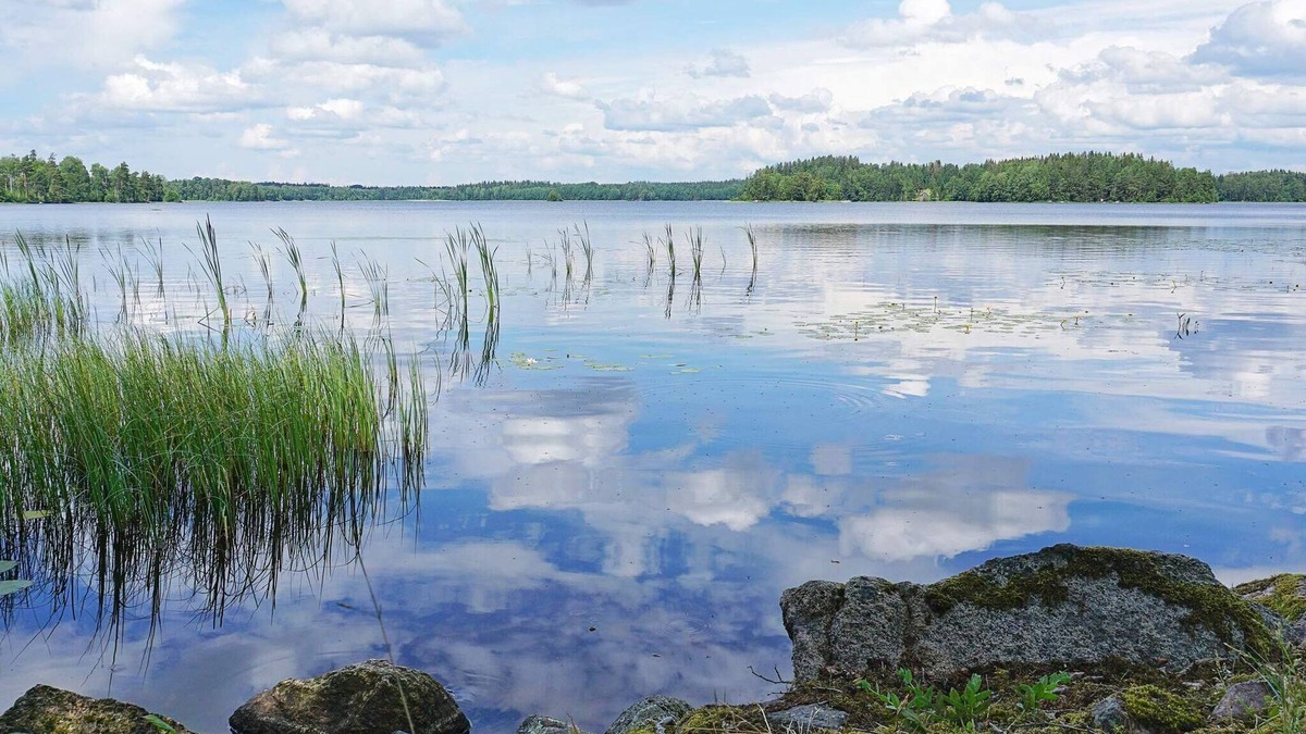 Nassjo House | 4 person holiday home in NÄSSJÖ