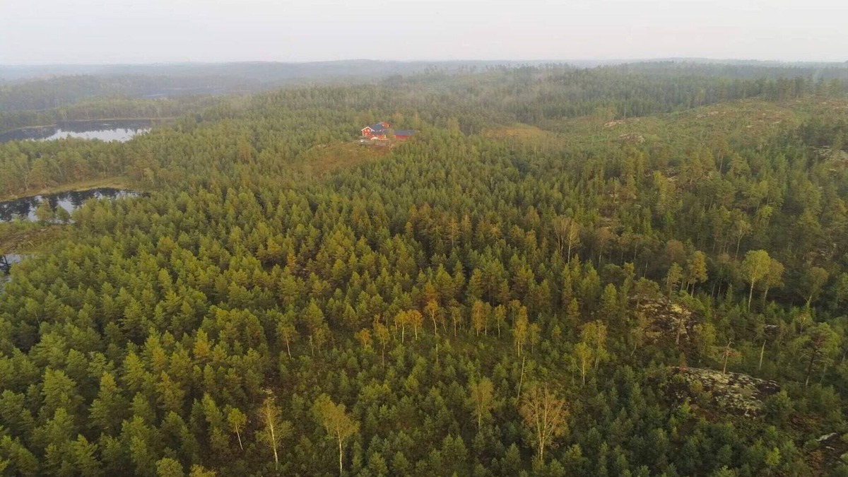 Backefors House | 4 star holiday home in BÄCKEFORS