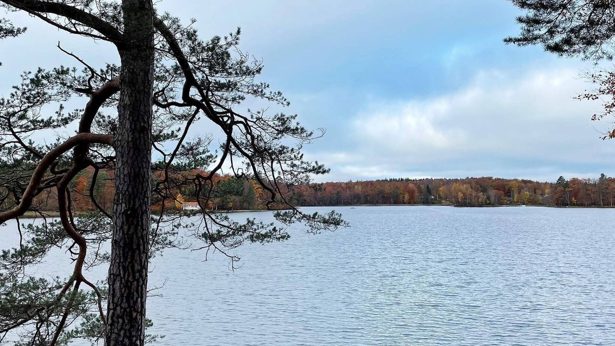 Olofstrom House | 4 star holiday home in Olofström