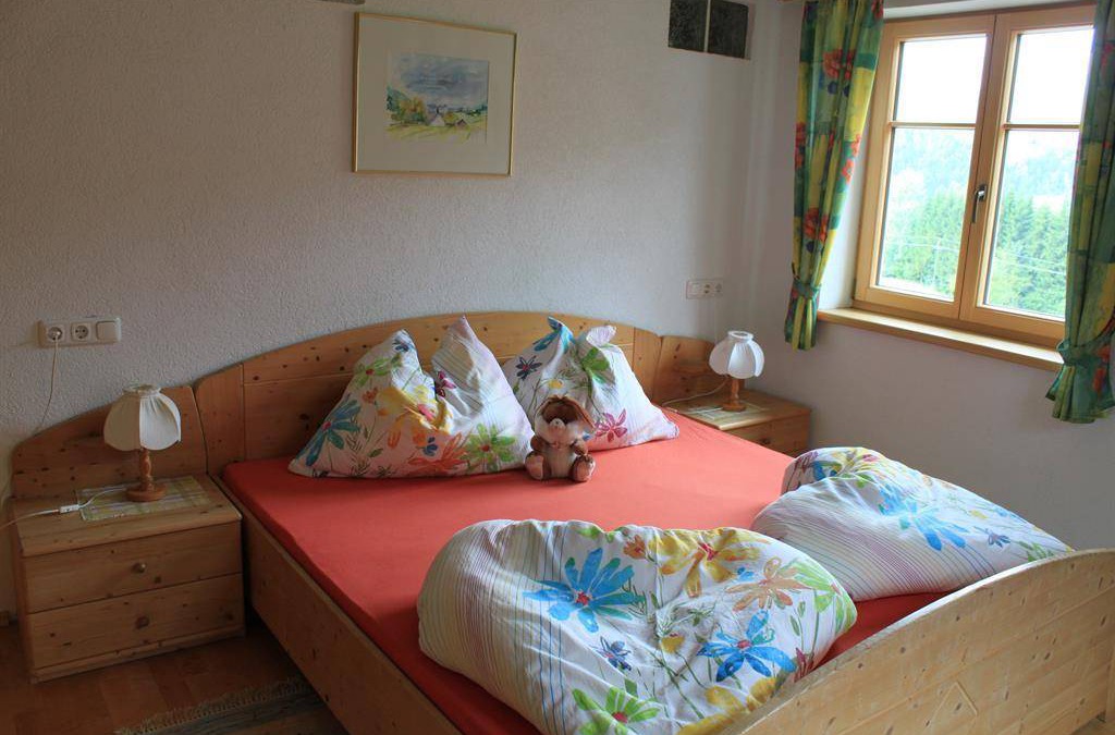 Spital am Pyhrn Apartment | 40 m² Apartment ∙ 1 bedroom ∙ 3 guests