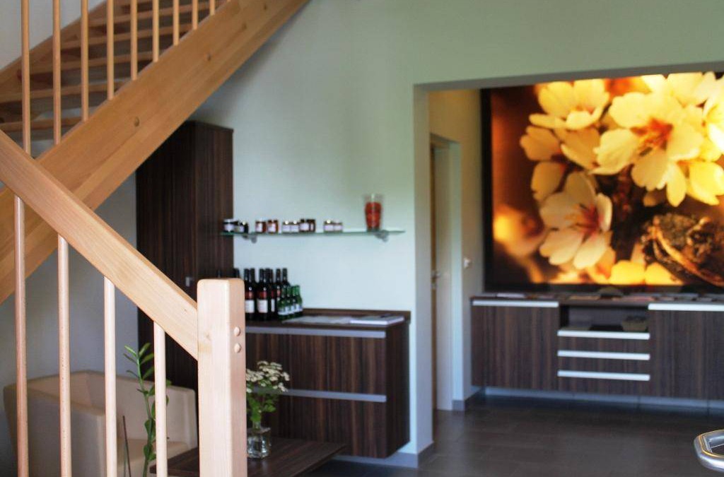 Gols Apartment | 40 m² Apartment ∙ 1 bedroom ∙ 3 guests