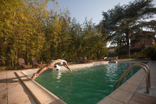 Albi Bed & Breakfast | 40 m² Bed and breakfast ∙ 4 guests