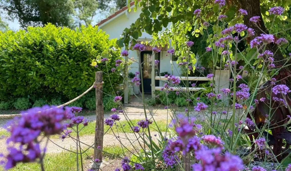 Corme Ecluse House | 40 m² House ∙ 1 bedroom ∙ 2 guests