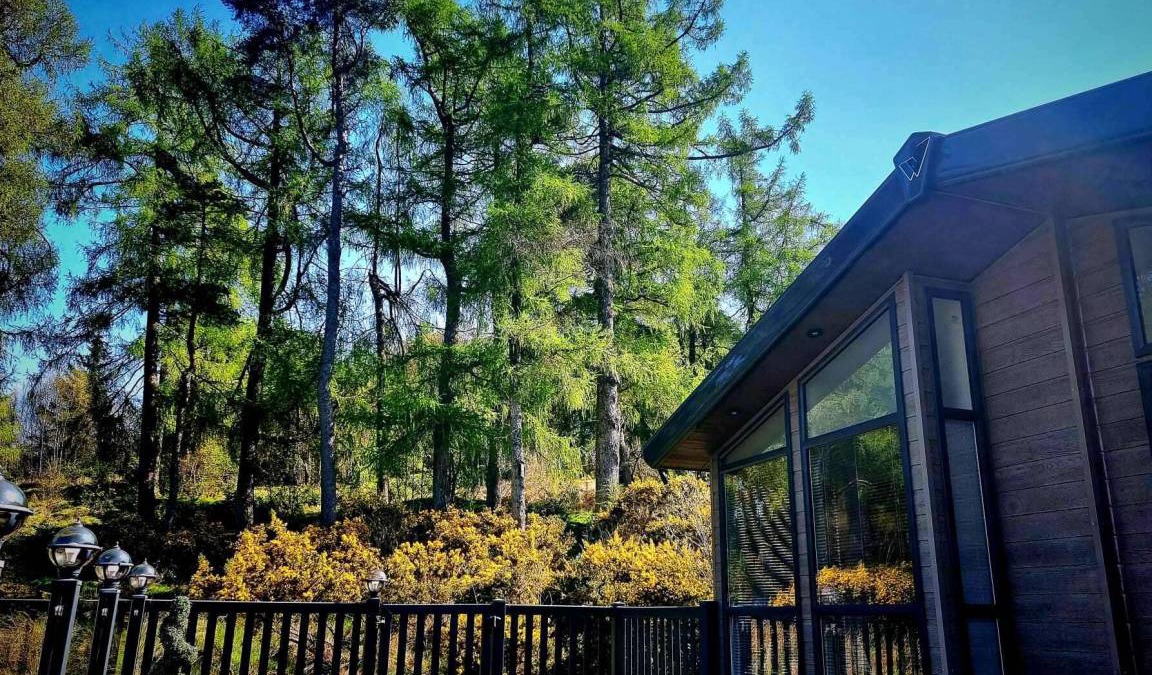 Kilmun Cabin | 40 m² Lodge ∙ 3 bedrooms ∙ 6 guests