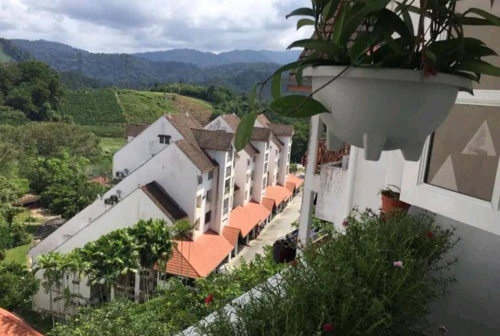 Bukit Tinggi Apartment | 40 m² Apartment ∙ 1 bedroom ∙ 6 guests
