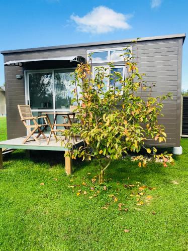 Otorohanga Bed & Breakfast | 40 Winks