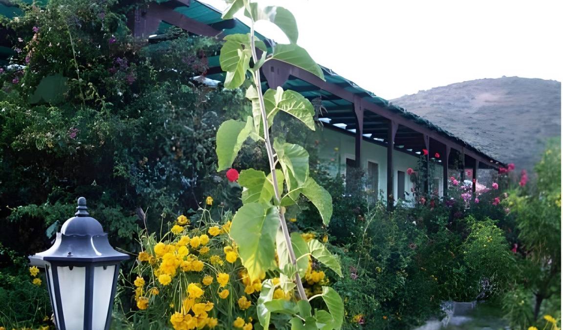 Hayitbuku Hotel | 45 m² Hotel ∙ 2 bedrooms ∙ 5 guests