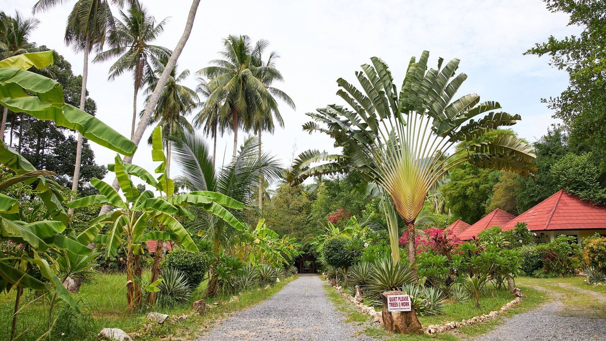 Maret House | 45 sqm holiday home, quiet resort in the coconut grove on the edge of the mountains