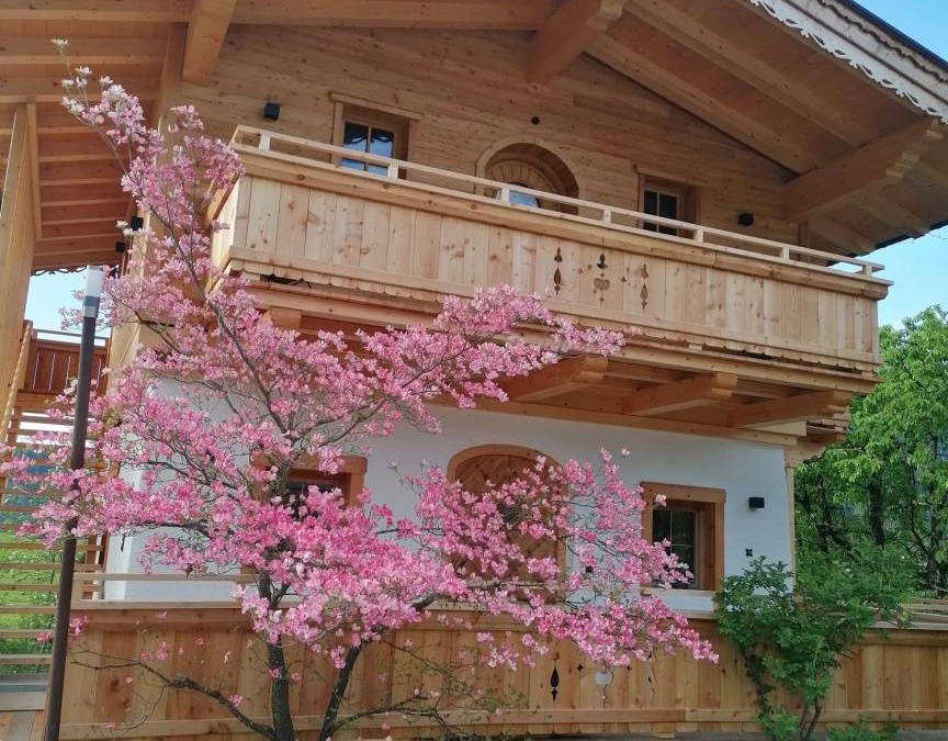Kirchbichl Apartment | 46 m² Apartment ∙ 2 bedrooms ∙ 4 guests