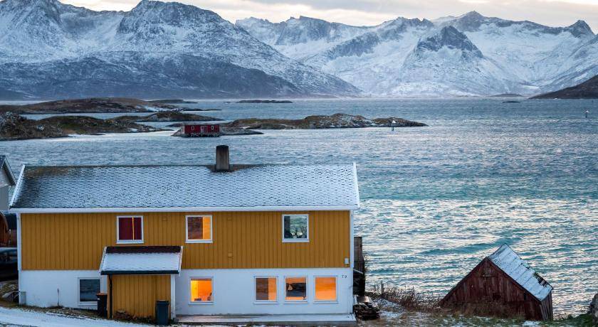 Sommarøy Apartment | 47 m² Apartment ∙ 1 bedroom ∙ 4 guests