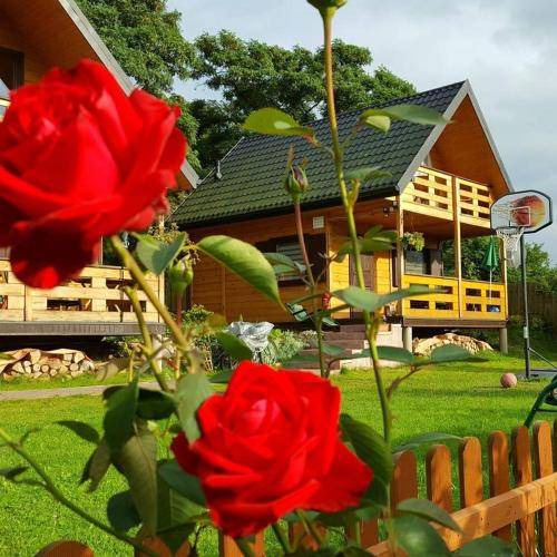 Swinoujscie Cabin | 47 m² Lodge ∙ 2 bedrooms ∙ 6 guests