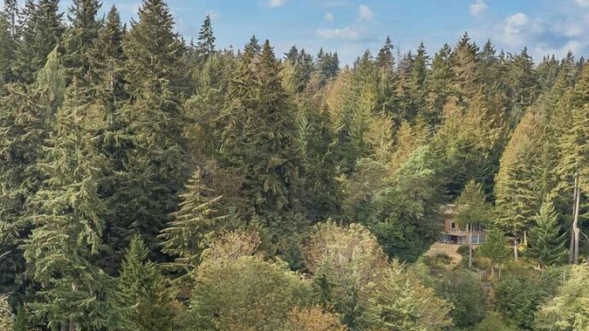 Bremerton House | 5 Acre Waterfront Compound - 5 Homes, sleeping 32!