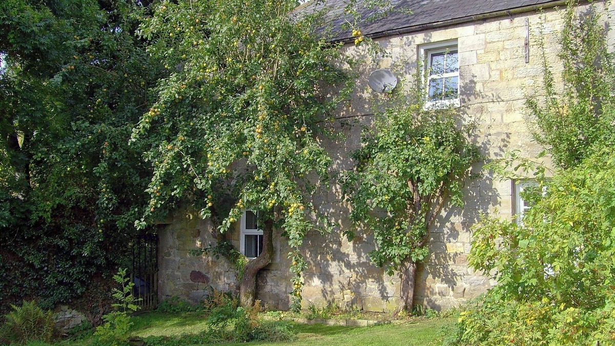 Byrness Cottage | 5 bedroom accommodation in Byrness Village, near Otterburn