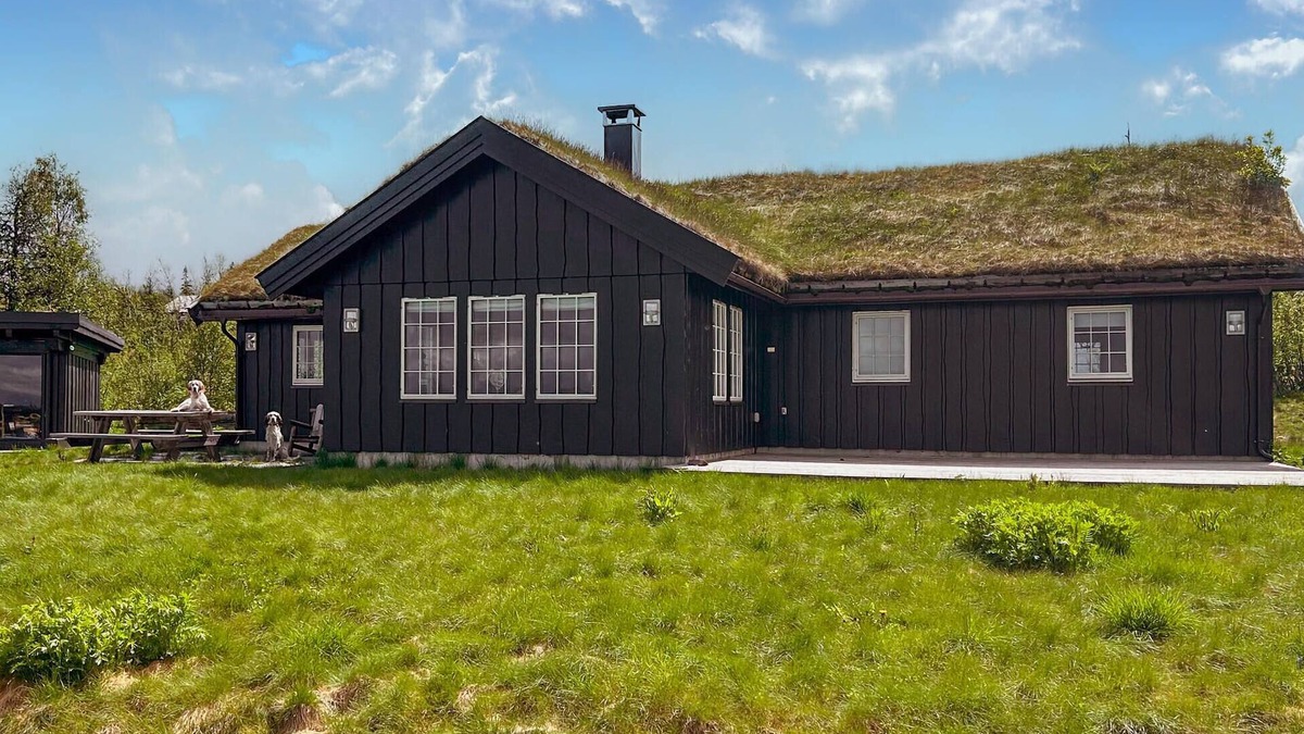 Vestre Slidre House | 5 bedroom awesome home in Røn