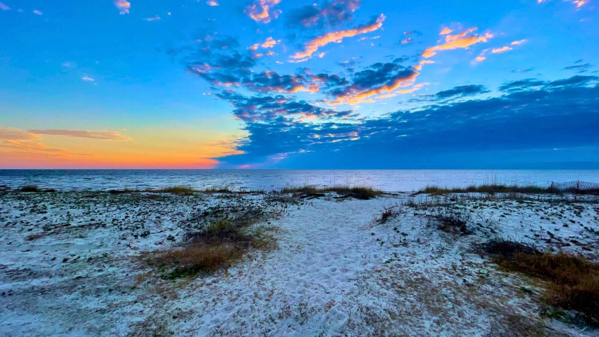 Alligator Point House | 5 Bedroom Beach House Slps 12 - Private Beach - Shells - Fishing -Screened porch