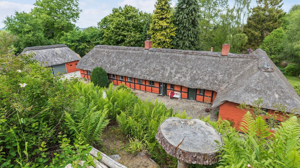 Ørsted House | 5 bedroom cozy home in ørsted