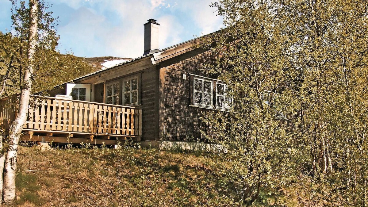 Hol Municipality House | 5 bedroom gorgeous home in Geilo