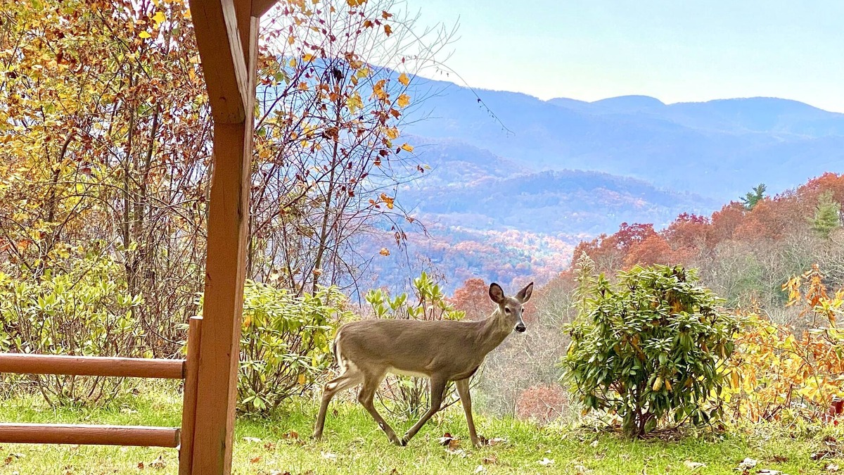 Fairview House | 5 BR Private Estate on 12 acres! Stunning Views! 15 min. to downtown!