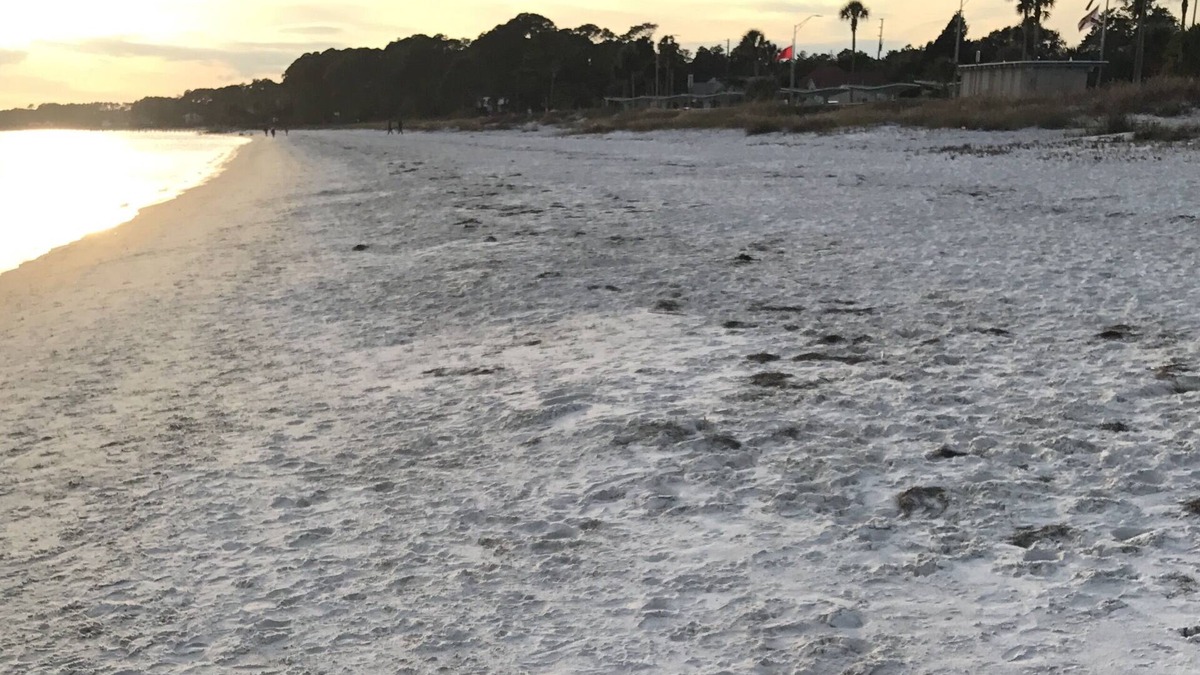 Carrabelle Condo | 5 min from the beach!