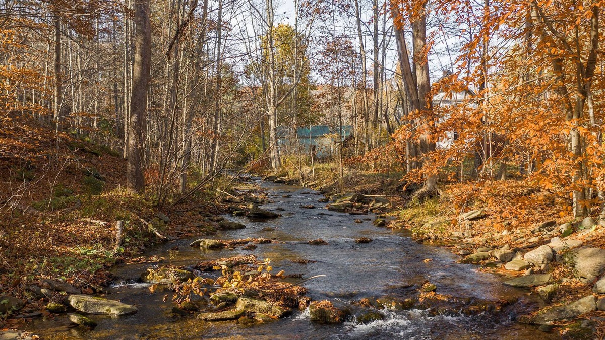 Pine Hill Cottage | 5 mins to Belleayre Ski! Relax in Hot tub and turn on massage jets! Pets free!