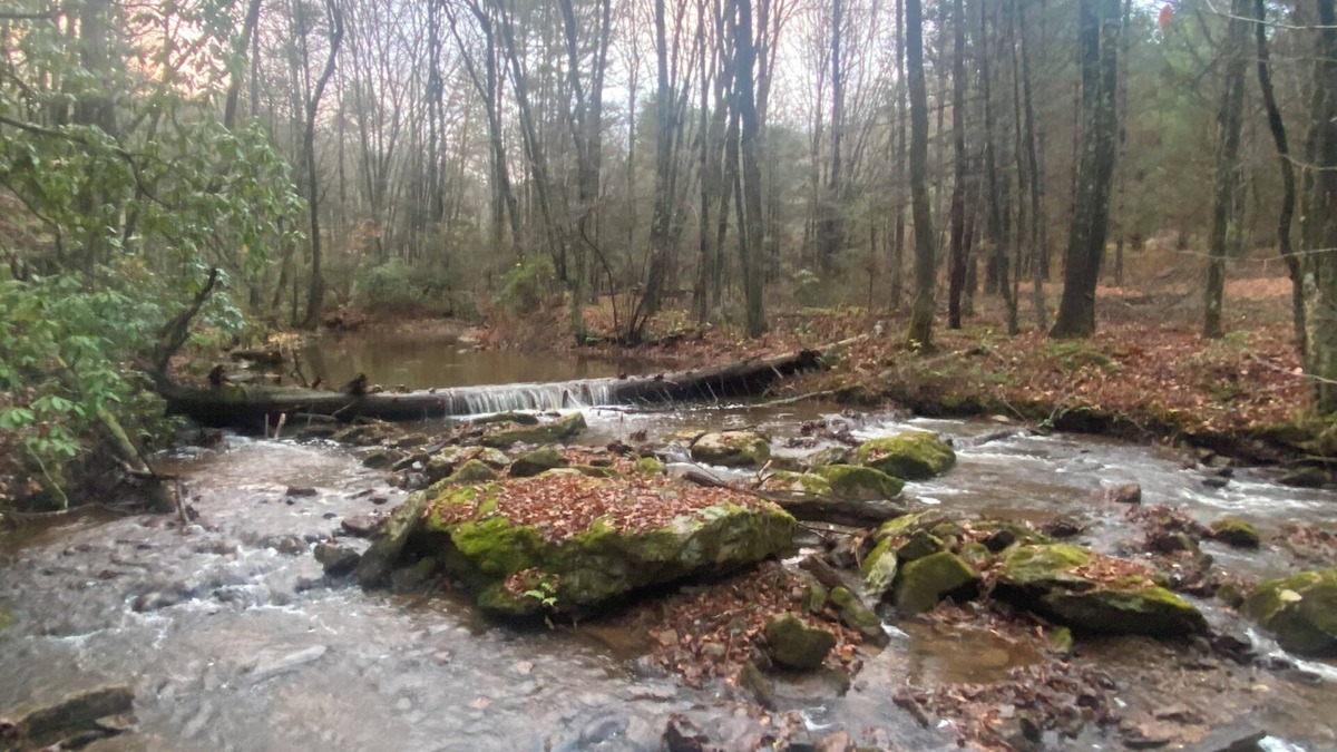 Montebello Cabin | 5 minutes to Blue Ridge Parkway, Crabtree Falls, hiking, wineries, breweries