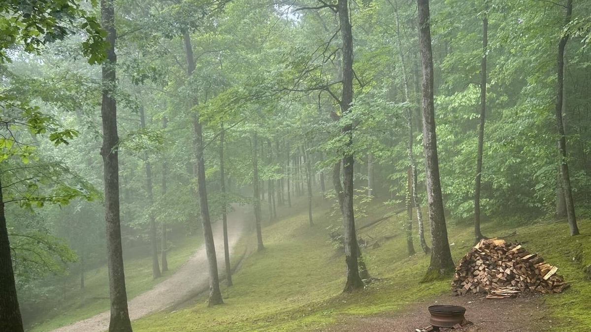 Saint Helens Cabin | #5, Peaceful, low/no tech, river side cabin with AC/heat in Beattyville, Ky.