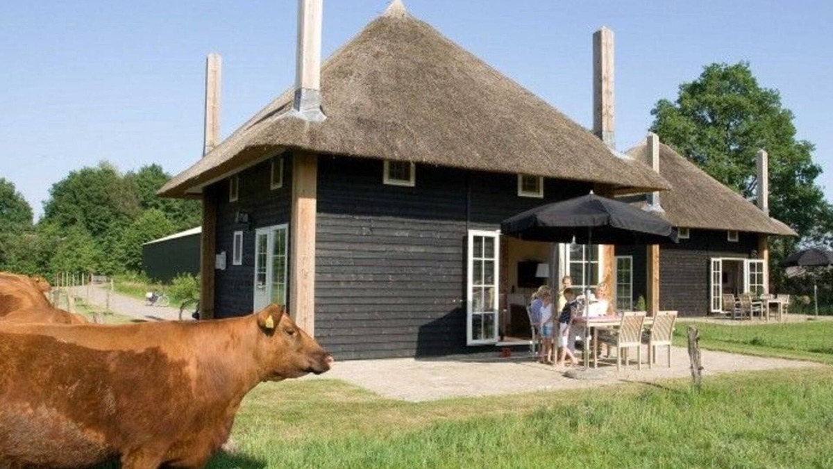 Rectum House | 5-person holiday home with Finnish sauna
