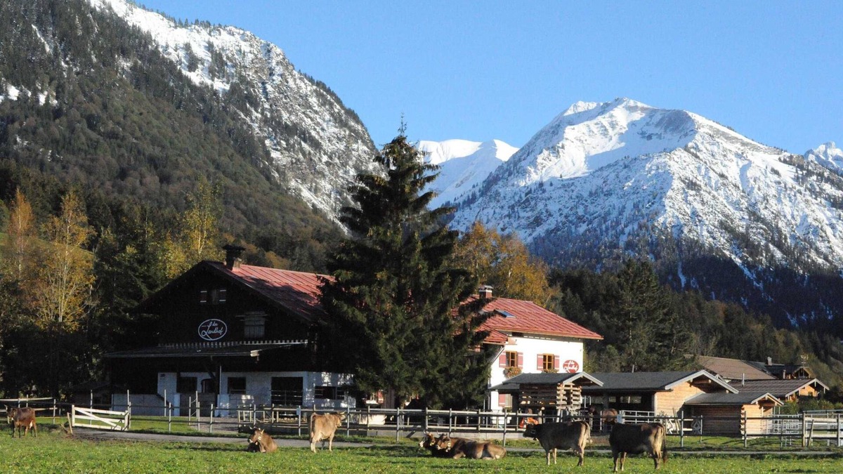 Oberstdorf House | 5 Sage - the farmyard
