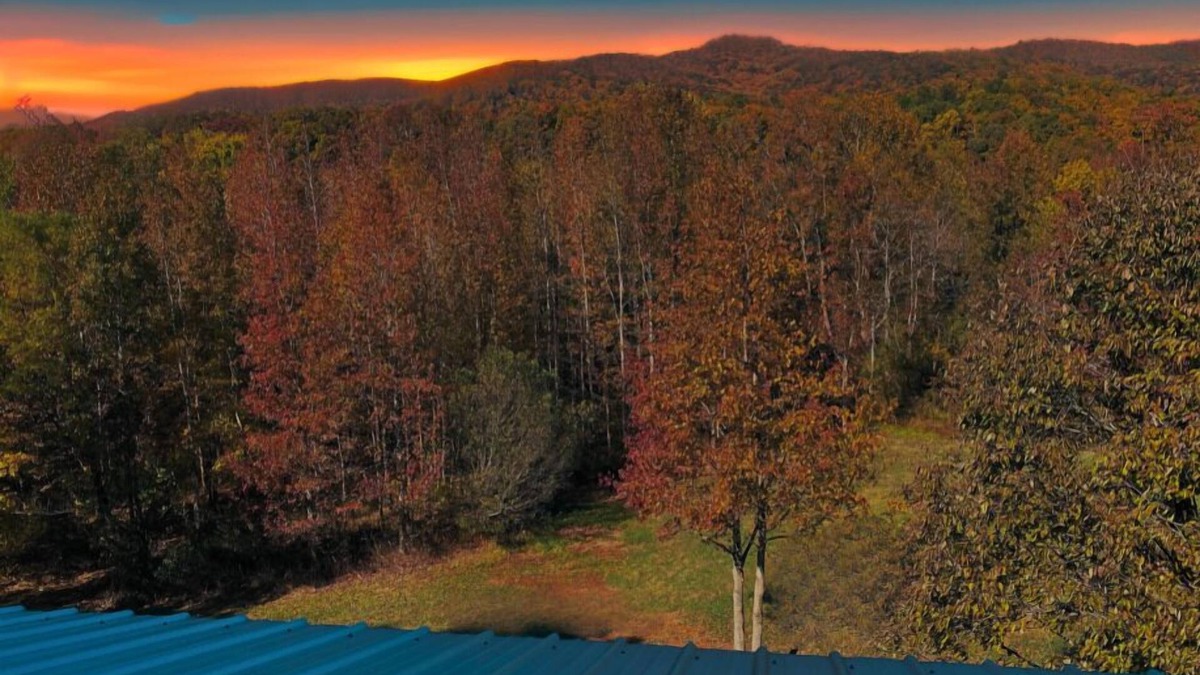 Cleveland Cabin | 5 Star Cabin | Pet Friendly | Rushing Creek | Mountain Views | Foosball |Firepit