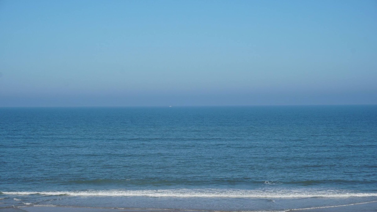 Seawinds Condo Condo | 5 STAR Direct Oceanfront Condo-ALL proceeds benefit physically handicapped child