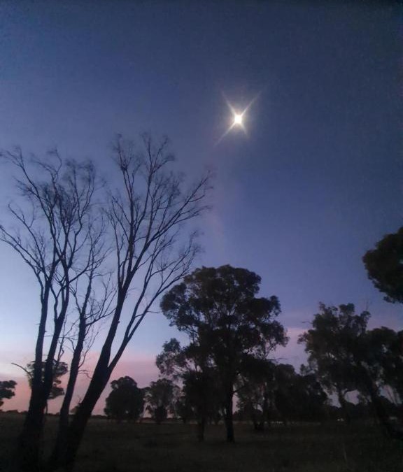 Stockinbingal Other | 5 Star Off Grid Farm Retreat