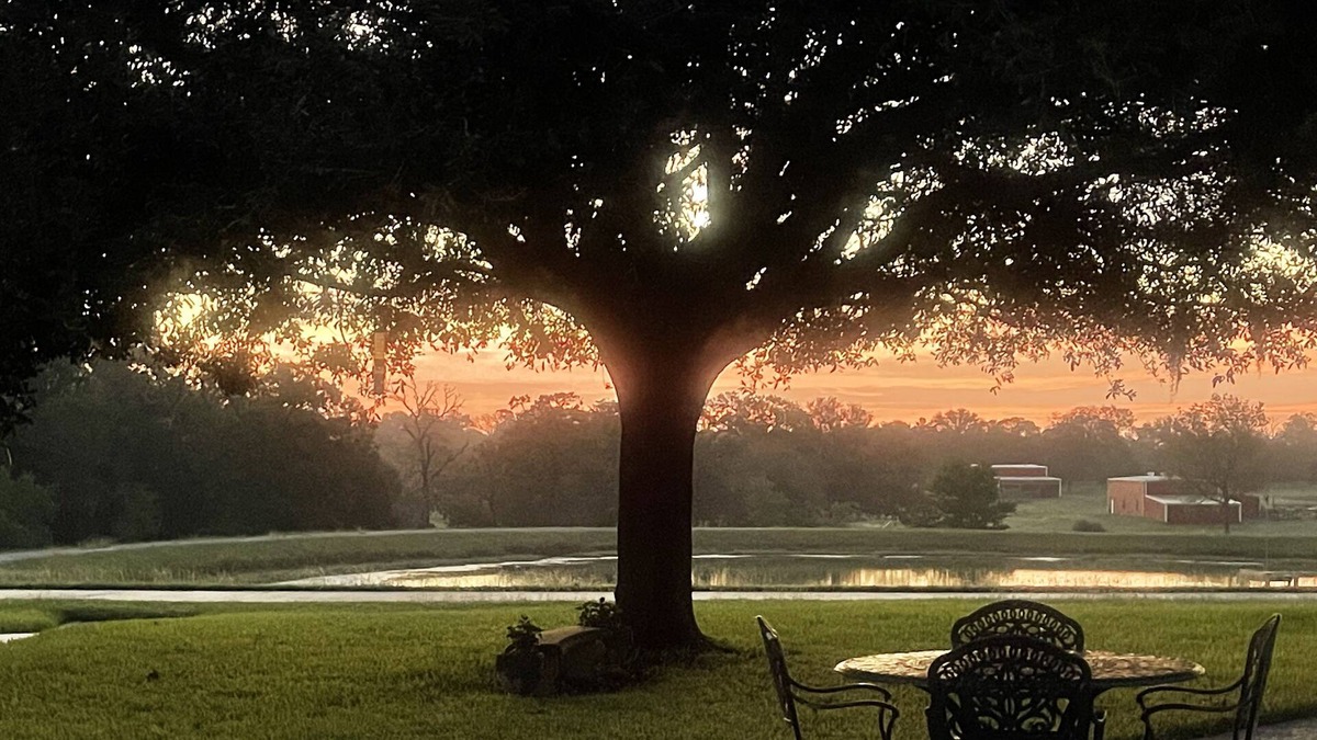 New Ulm Other | 5-star property 1 hr W of Katy, 30 min to Round Top, near The Vine Wedding Venue