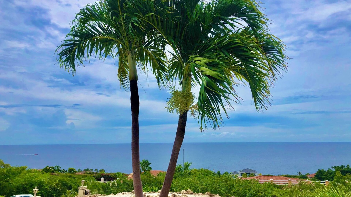 St. Marie Villa | 5 Star Ultimate Paradise for Total Relaxation Beautiful Sea views, pool,16Guests