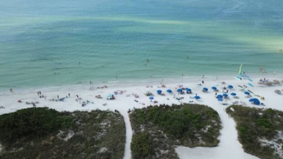 Siesta Key Hotel | #5-TwinPalms-Junior Suite