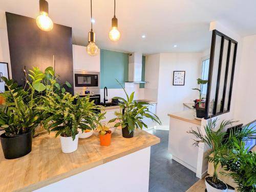19th Arrondissement Apartment | 50 m² Apartment ∙ 1 bedroom ∙ 2 guests