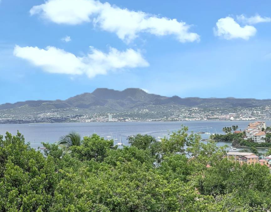 Trois-Ilets Apartment | 50 m² Apartment ∙ 1 bedroom ∙ 2 guests