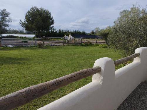 Arles Apartment | 50 m² Apartment ∙ 1 bedroom ∙ 3 guests
