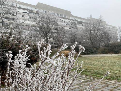 Szekszard Apartment | 50 m² Apartment ∙ 1 bedroom ∙ 4 guests