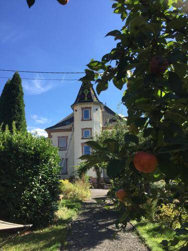 Rothau Apartment | 50 m² Apartment ∙ 2 bedrooms ∙ 4 guests