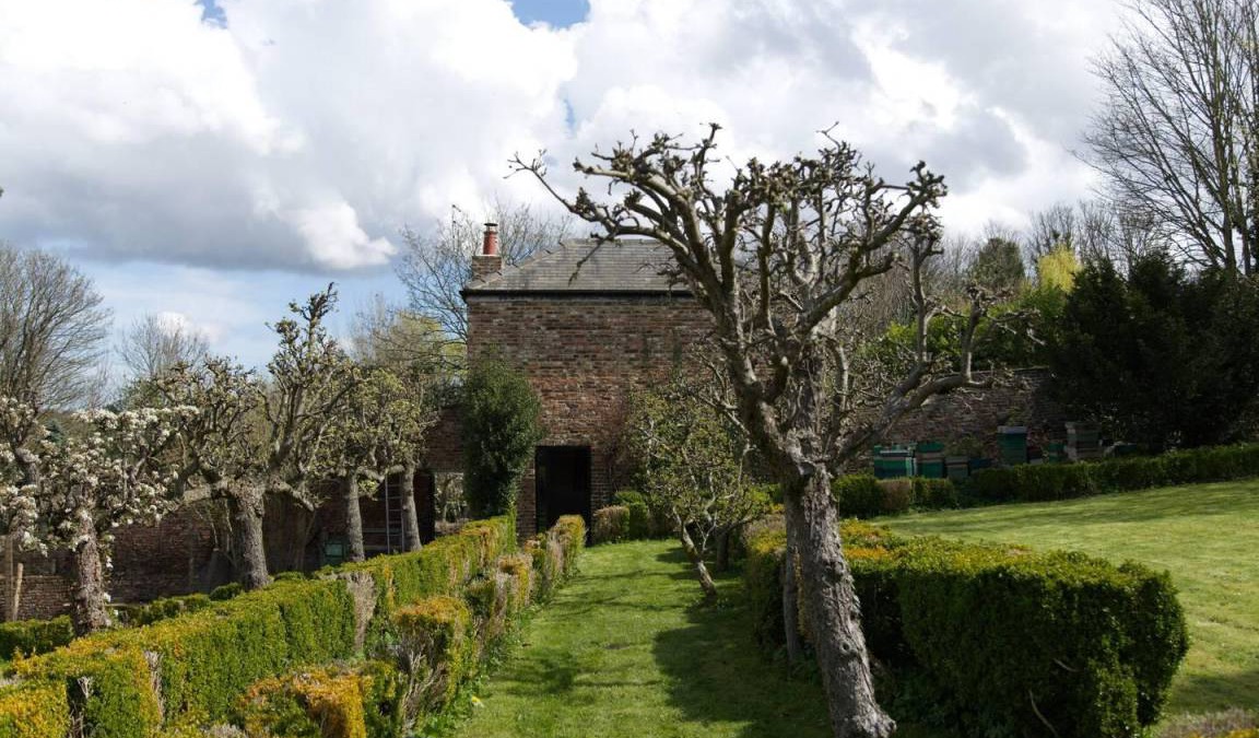 Crawcrook Cottage | 50 m² Cabin ∙ 1 bedroom ∙ 2 guests