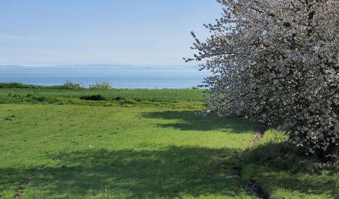 Kettingskov House | 50 m² House ∙ 1 bedroom ∙ 4 guests