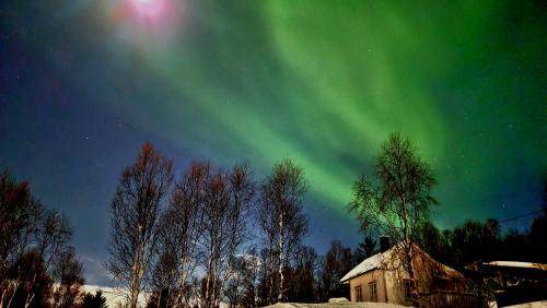 Botnhamn House | 50 m² House ∙ 2 bedrooms ∙ 3 guests