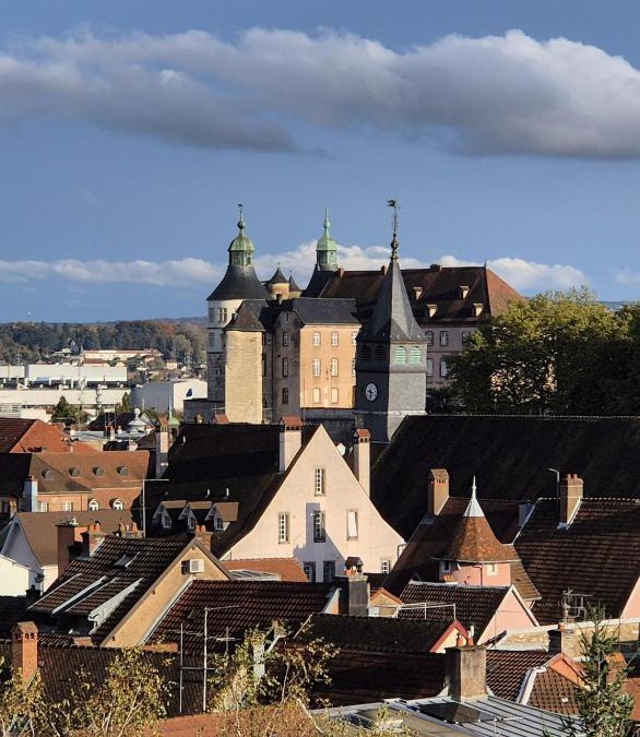 Montbeliard Apartment | 50m2 vue sur le château