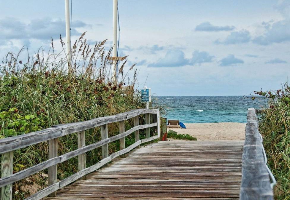 Palm Beach Shores Hotel | 51 m² Hotel ∙ 127 guests