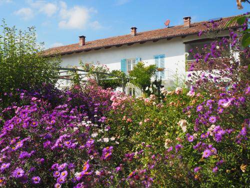 Belveglio Bed & Breakfast | 55 m² Bed and breakfast ∙ 2 guests