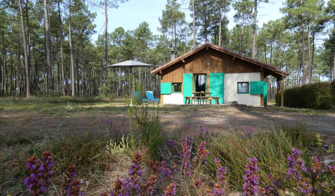 Callen House | 57 m² Gîte ∙ 2 bedrooms ∙ 4 guests