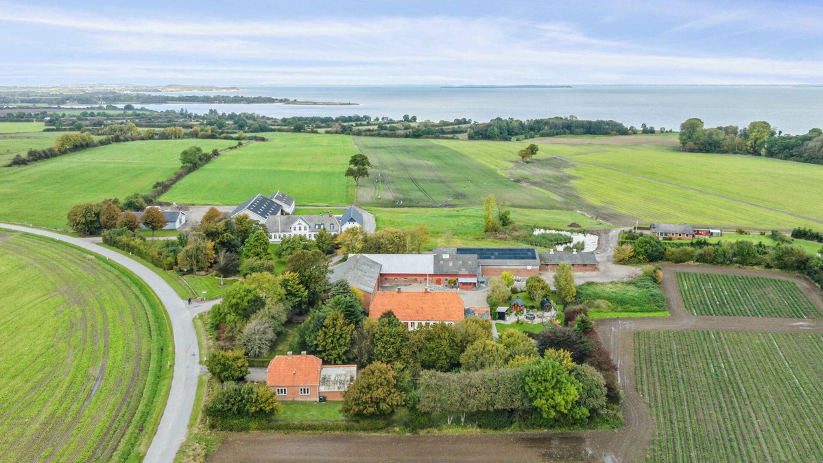 Skovbyballe House | 580 m2 countryside idyll with activity room