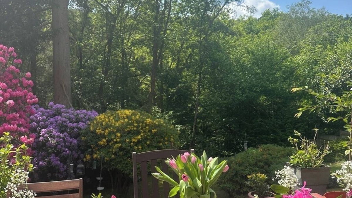Hindhead House | 5BD House in the Forest