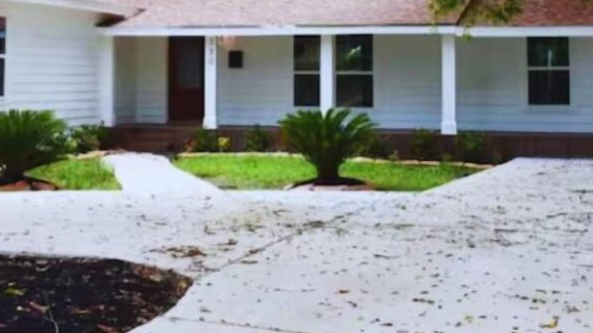 Beaumont House | 5BR, 3BA w/huge back deck, Great Neighborhood!